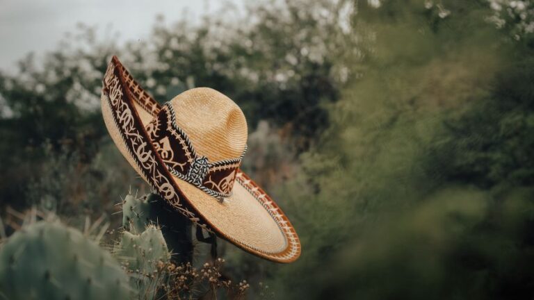 Meksykańskie sombrero na kaktusie